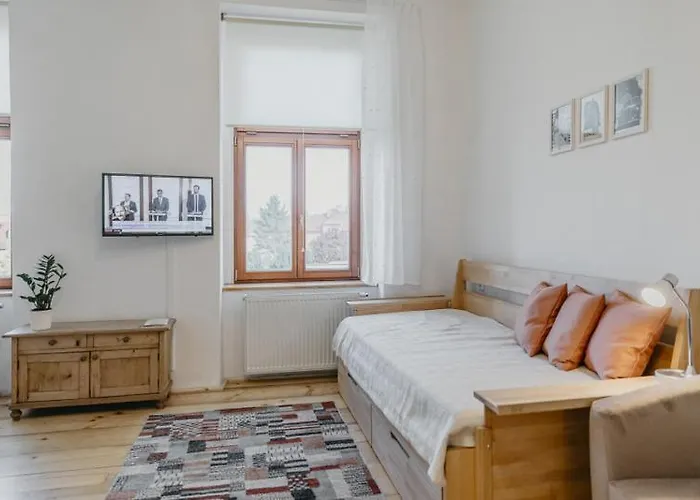 3, Suvorovova 158 شقة Cesky Brod